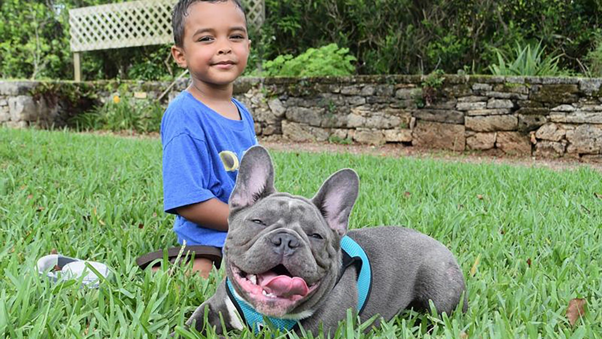 Hello Bermudaful Bermudaful Island Tours